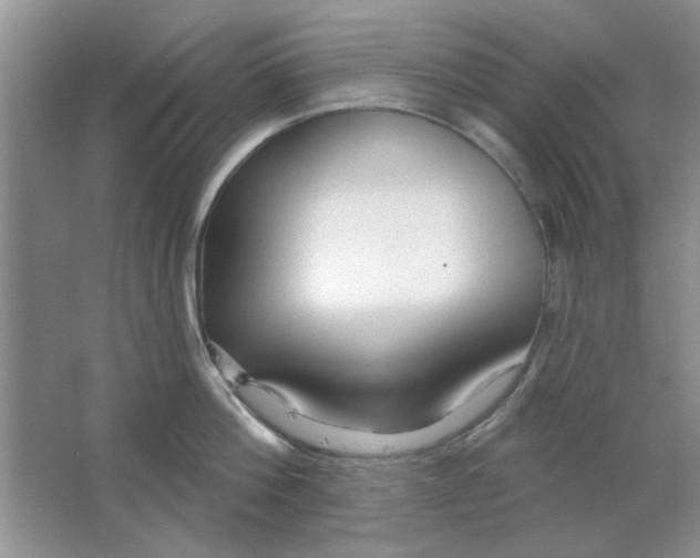 X0000063530812200602102016