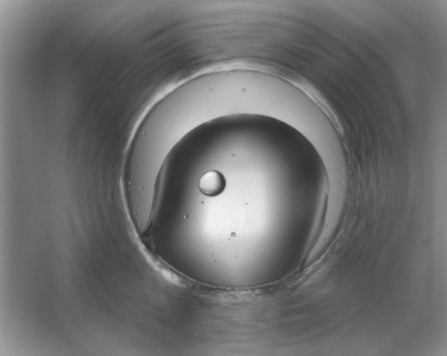 X0000063530813200602102016