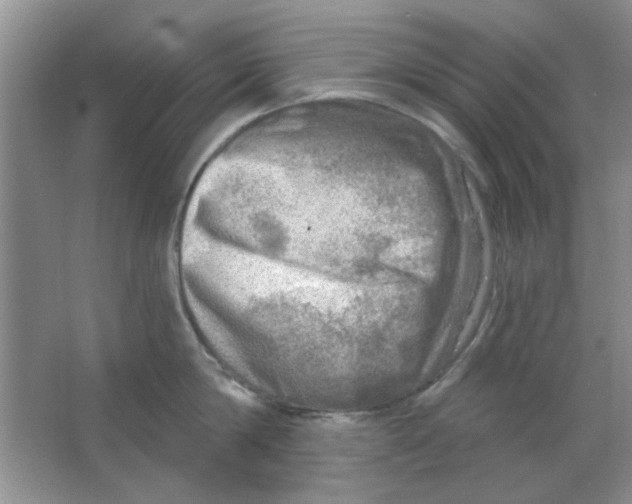 X0000063530814200602102016