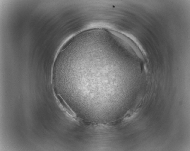 X0000063530815200602102016