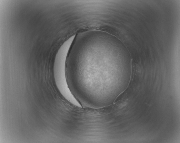 X0000063530818200602102015