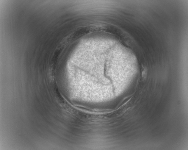 X0000063530819200602102015