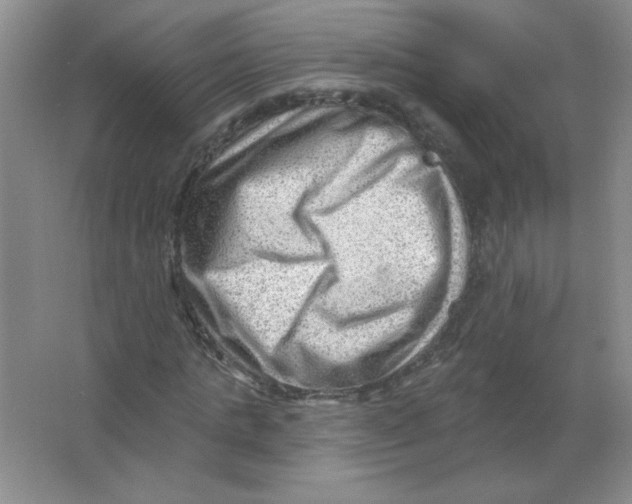 X0000063530821200602102015