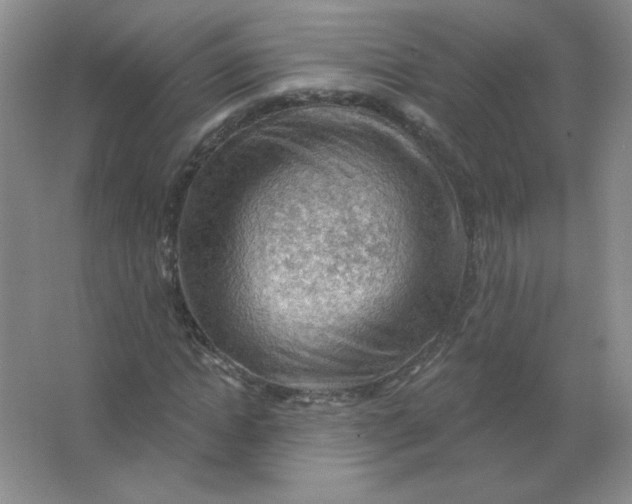 X0000063530822200602102015