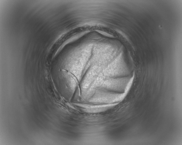 X0000063530823200602102015