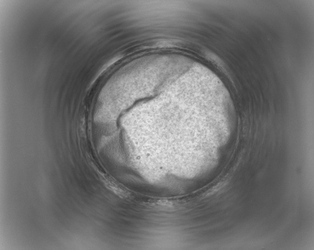 X0000063530827200602102015