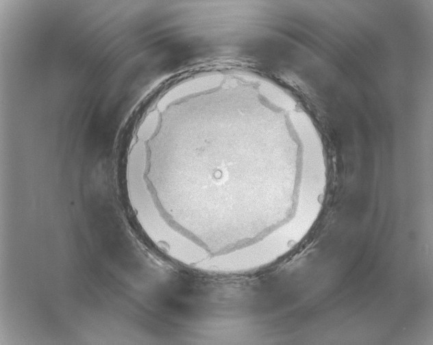 X0000063530828200602102015