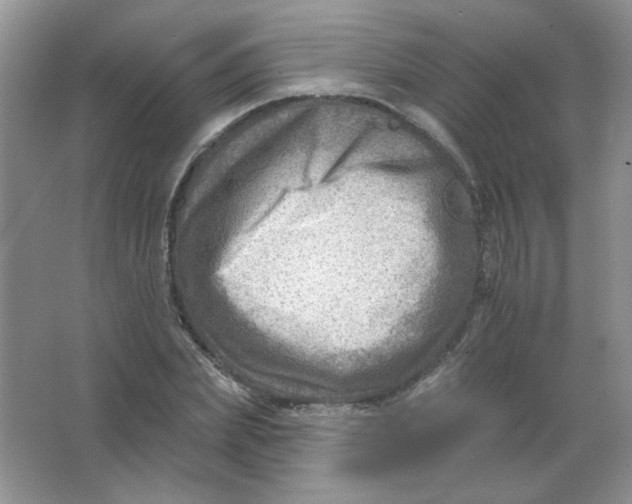 X0000063530831200602102015