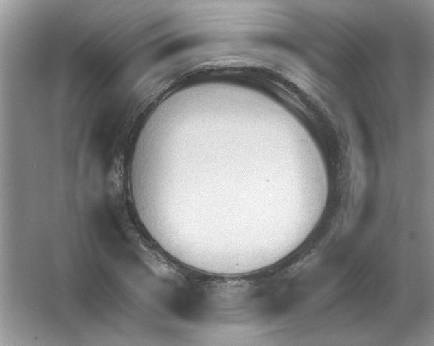 X0000063530833200602102015