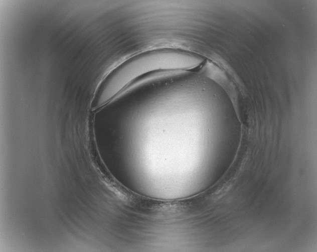 X0000063530834200602102015