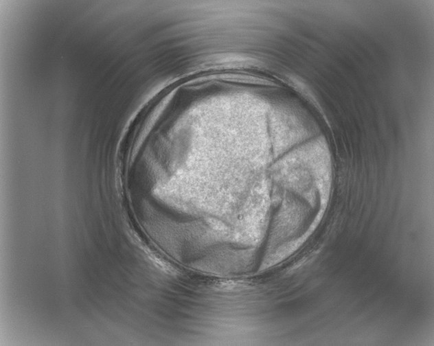 X0000063530835200602102015