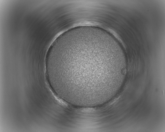 X0000063530837200602102015