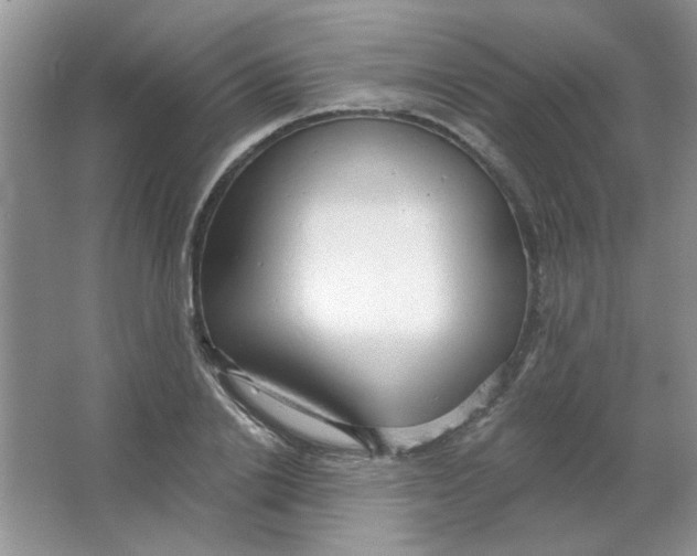 X0000063530838200602102015