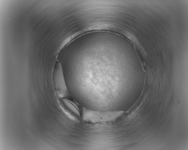 X0000063530842200602102015