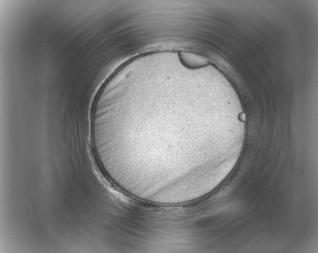 X0000063530844200602102015