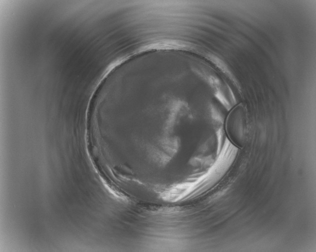 X0000063530845200602102015