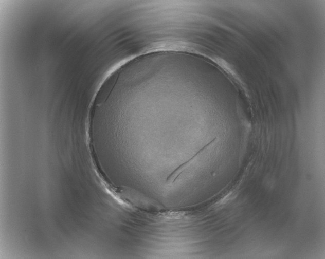 X0000063530846200602102015