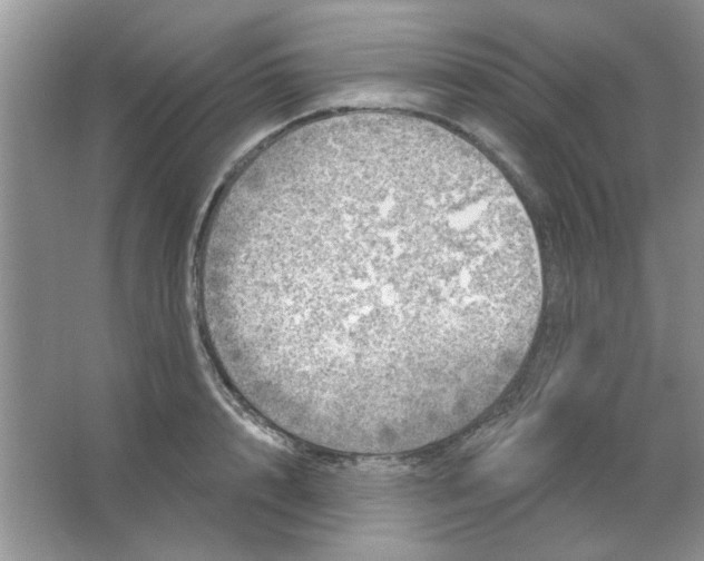 X0000063530848200602102015