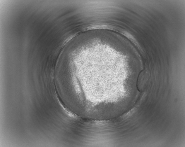 X0000063530849200602102015