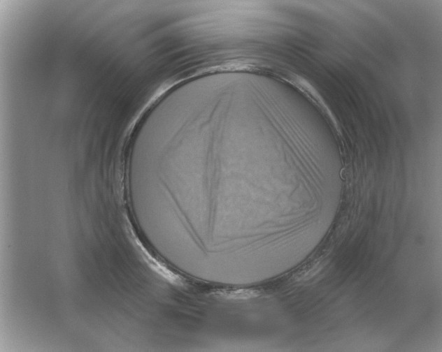 X0000063530851200602102015