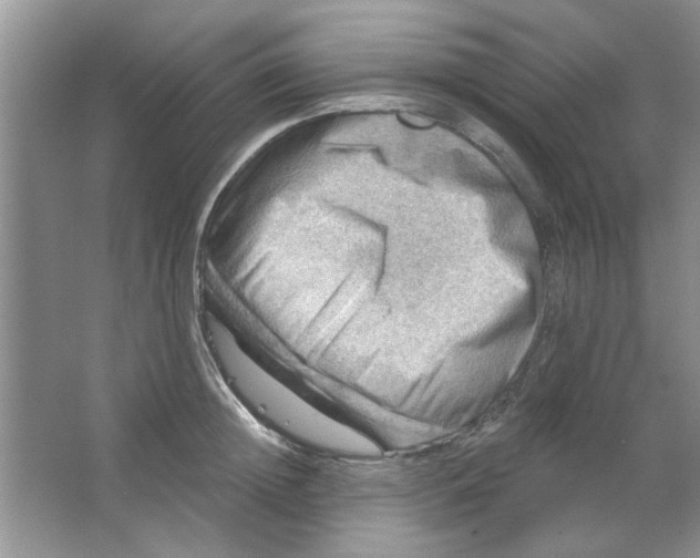 X0000063530852200602102015