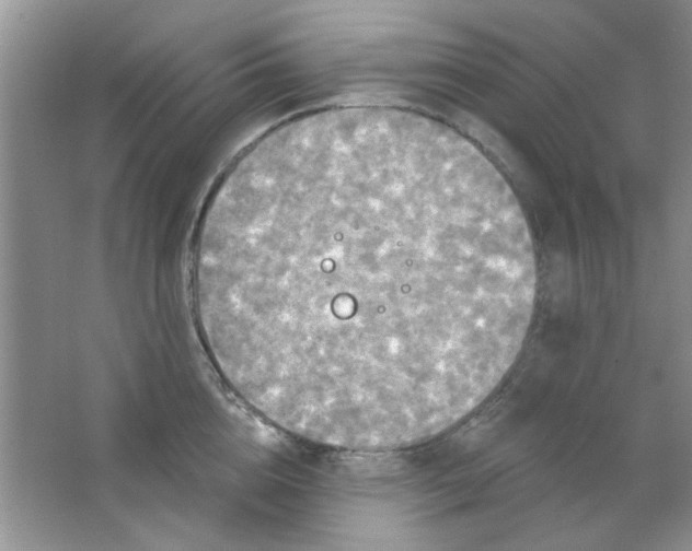 X0000063530856200602102015