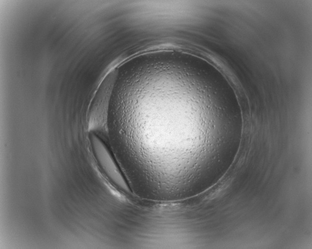 X0000063530858200602102016