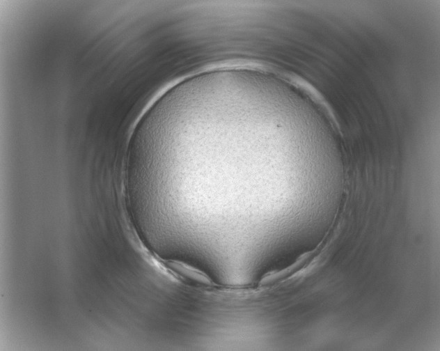 X0000063530860200602102016