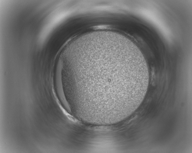 X0000063530861200602102016