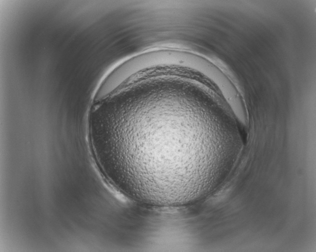 X0000063530862200602102016