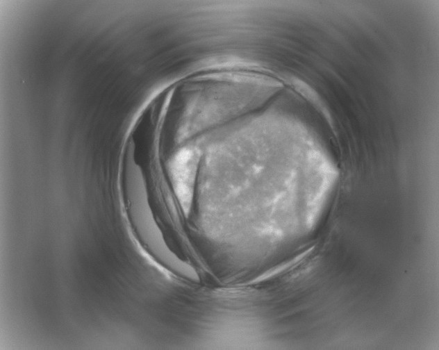 X0000063530863200602102016