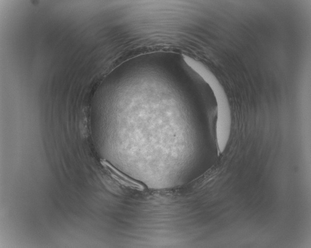 X0000063530868200602102015