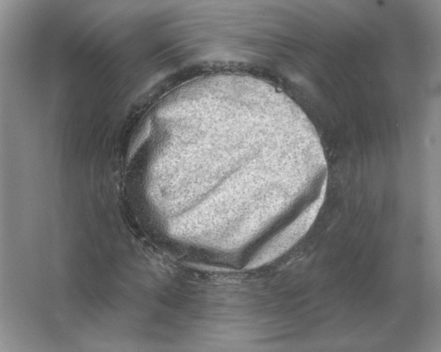 X0000063530870200602102015