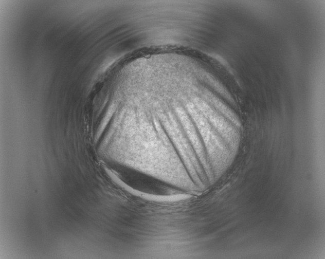 X0000063530871200602102015