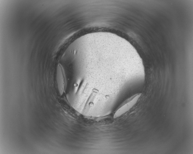 X0000063530872200602102015