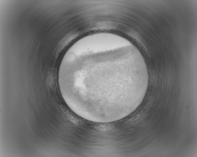 X0000063530874200602102015