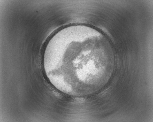 X0000063530878200602102015