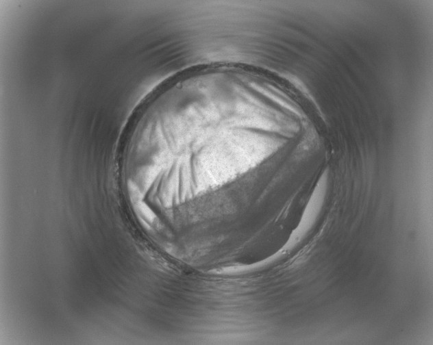 X0000063530879200602102015