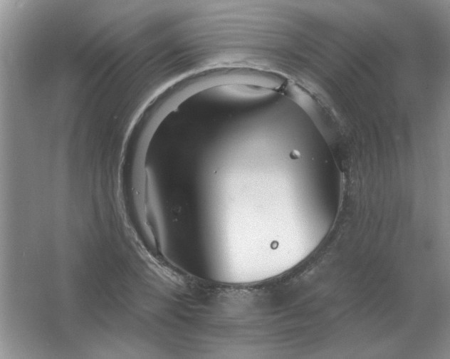 X0000063530880200602102015