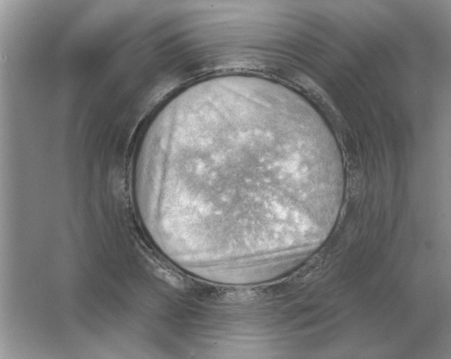 X0000063530882200602102015