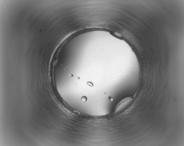 X0000063530884200602102014