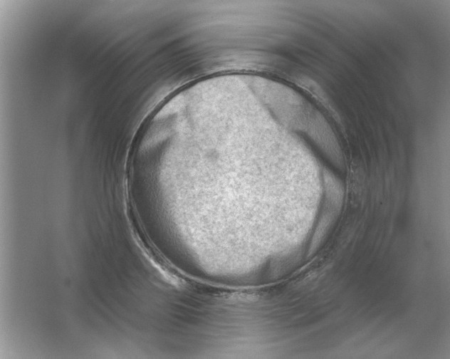 X0000063530890200602102014