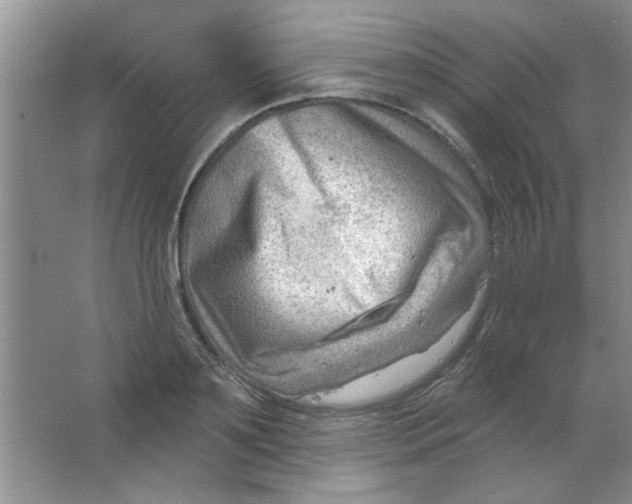 X0000063530891200602102014