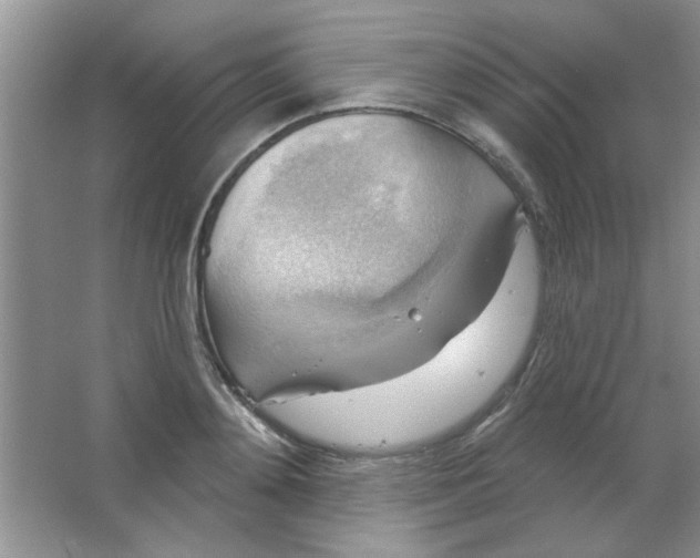 X0000063530892200602102014