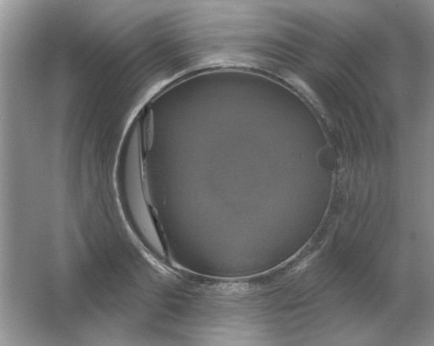 X0000063530893200602102014