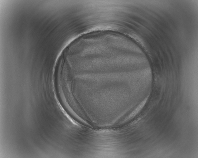 X0000063530894200602102014