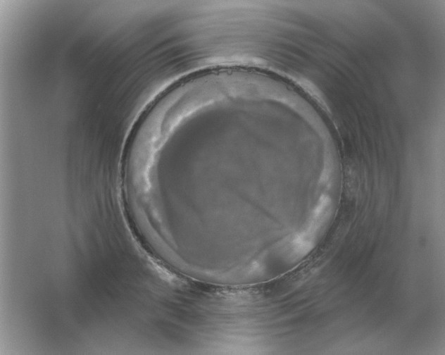 X0000063530895200602102014