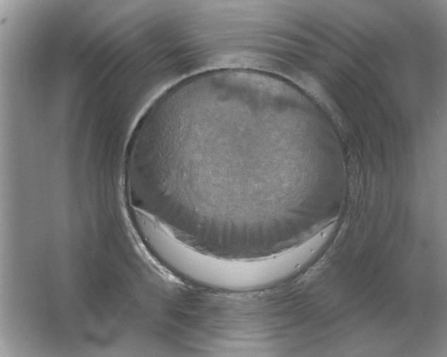 X0000063530896200602102014