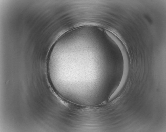 X0000063530898200602102014