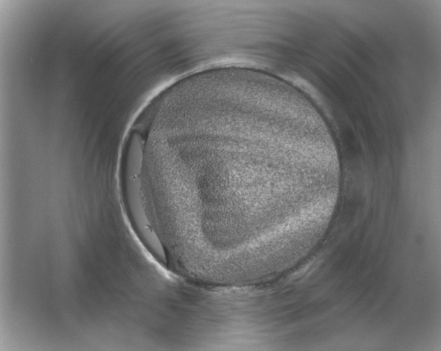 X0000063530902200602102014